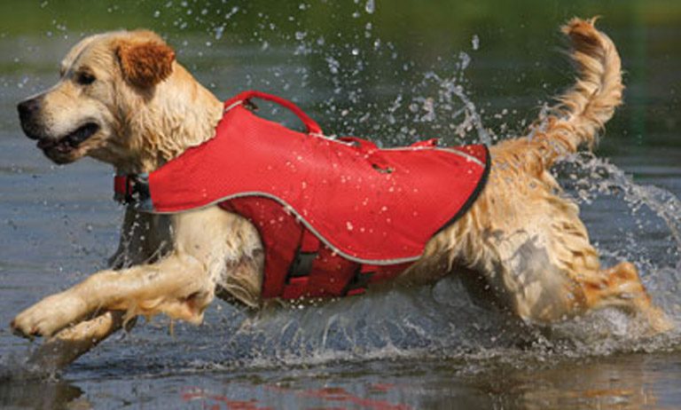 Discount Pet Life Jackets for Dogs